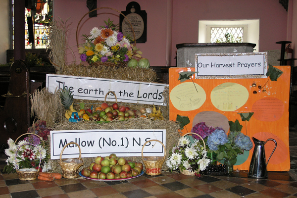 Mallow Harvest Festival 2009