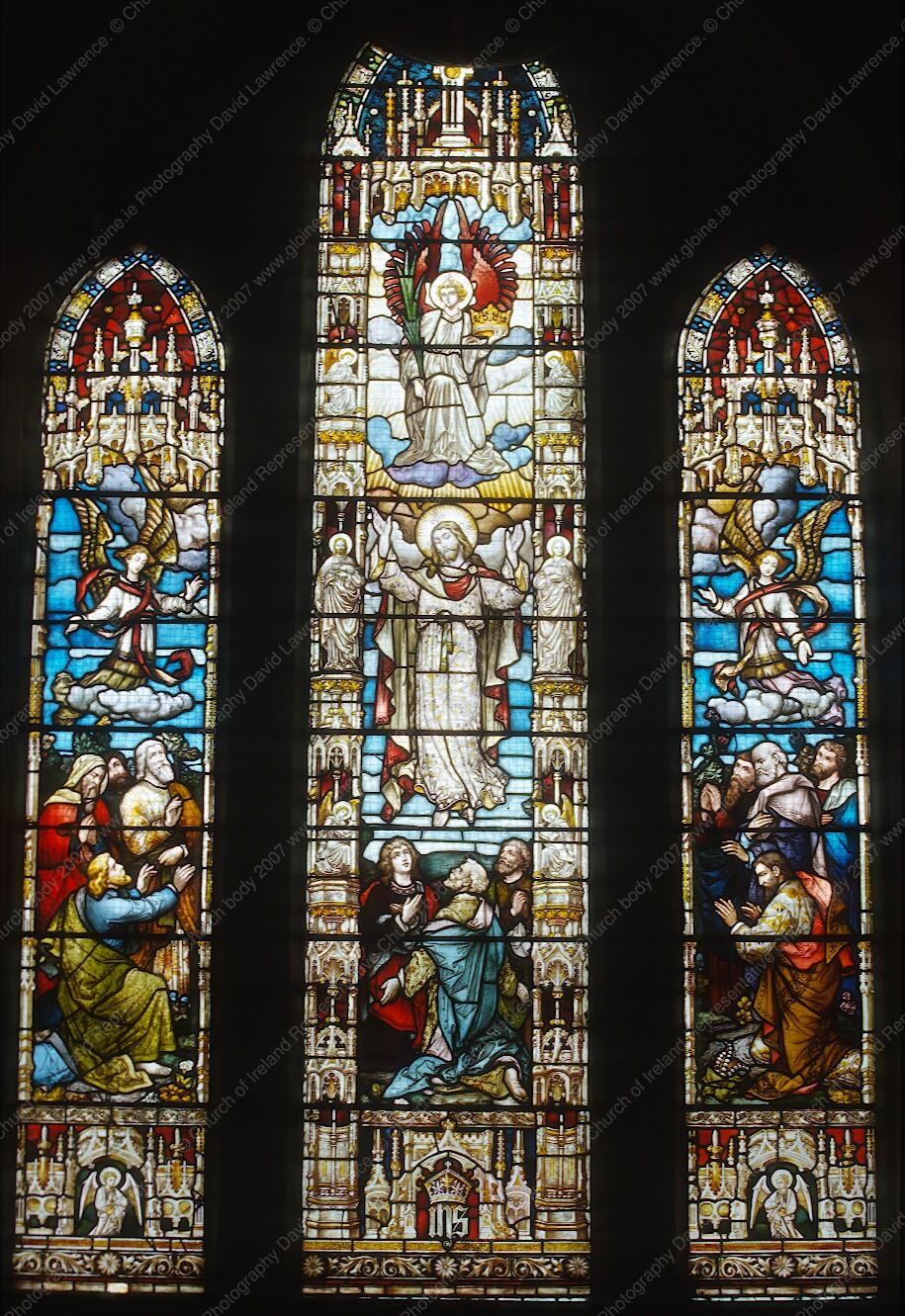 The tarrant window
